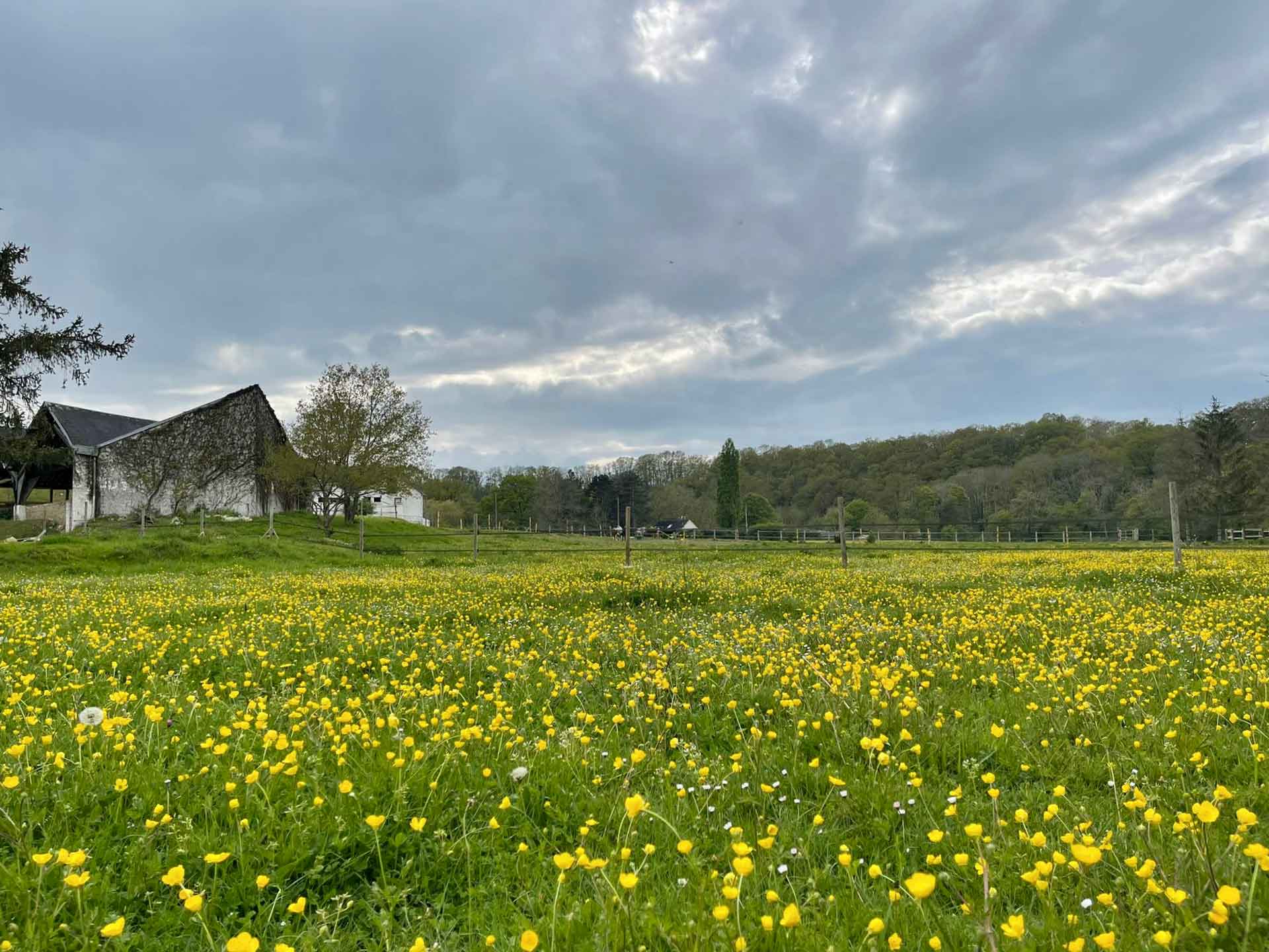 Les Ecuries Villalet équitation